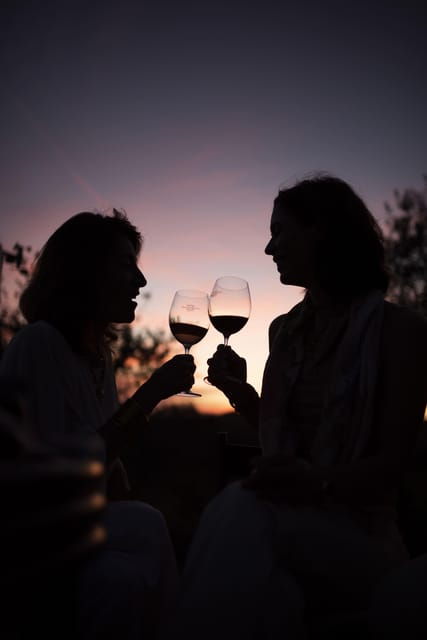 Chianti Classico Wine Tasting & Lunch - Historic Mocenni Estate