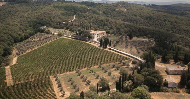 Chianti Classico Wine Tasting - Wine Tasting Experience Details