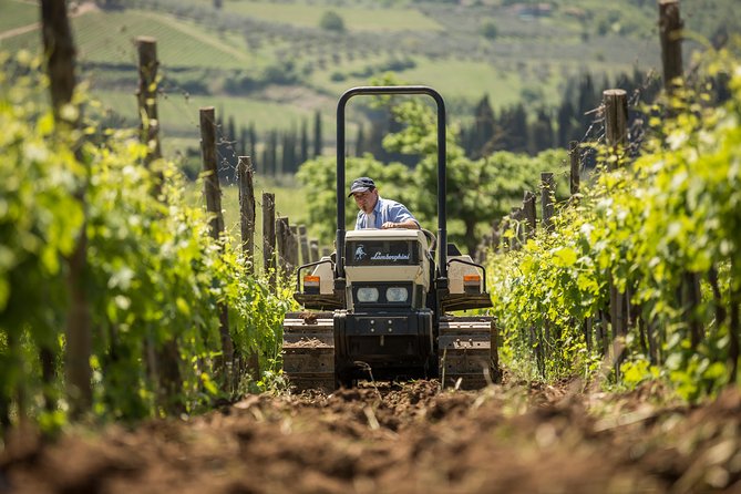 Chianti Classico Wines With Seasonal Farmers Dishes - Logistics Information