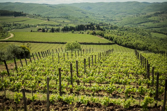 Chianti Classico Wines With Seasonal Farmers Dishes - Directions and Accessibility