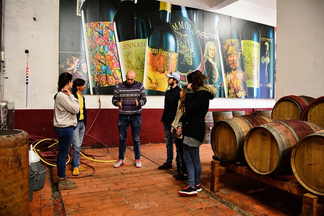 Chianti Classico With Lunch Half Day From Florence - The Sum Up