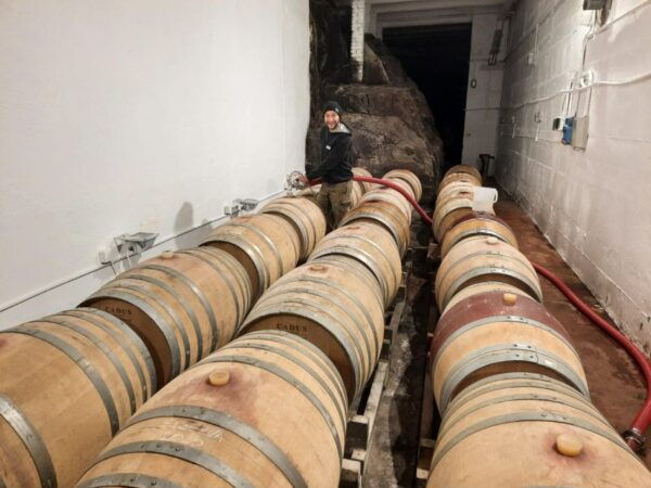 Chianti Colli Fiorentini Winery Tour 18km From Florence - Frequently Asked Questions