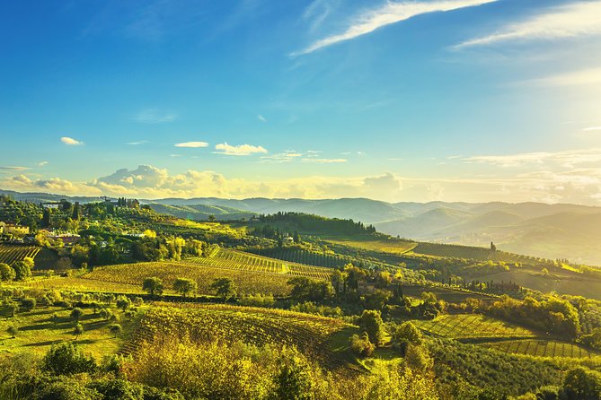 Chianti Experience Shore Excursion From Livorno Port - Reviews
