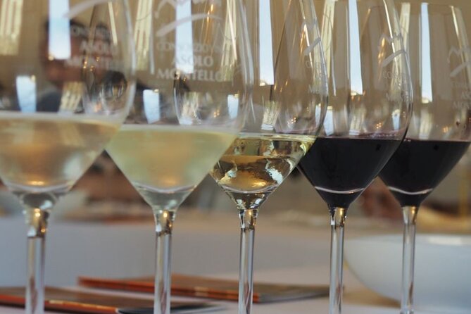 Chianti From Florence:Private Wine, Olive Oil Tasting in the Tuscan Countryside - Reviews