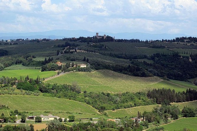 Chianti From Florence:Private Wine, Olive Oil Tasting in the Tuscan Countryside - Questions