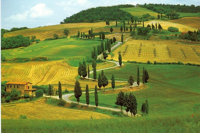Chianti From Florence:Private Wine, Olive Oil Tasting in the Tuscan Countryside - The Sum Up