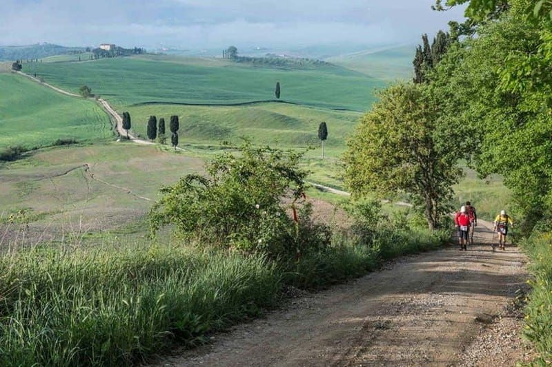Chianti Half-Day Wine Tour included meal & tasting (5hrs) - Why This Tour Works Well for Travelers