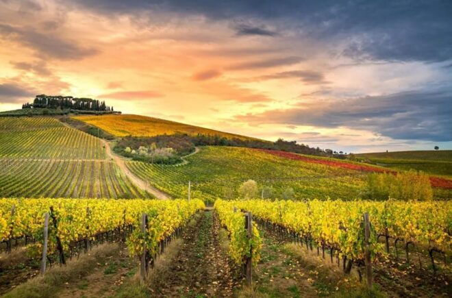 Chianti Helicopter Flight Tour - Booking Information