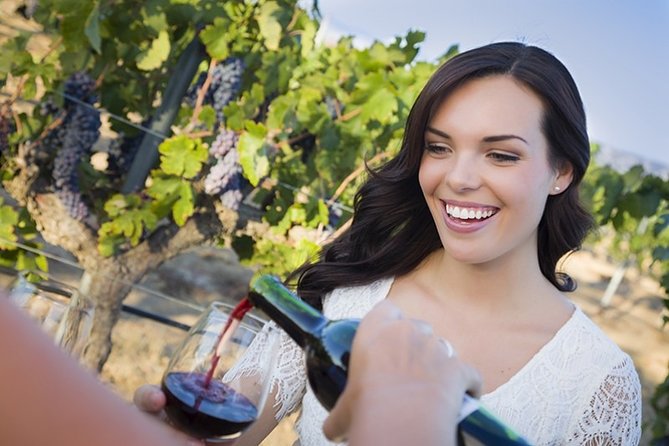 Chianti Lovers Tour- 2 Wineries and Supertuscan Small Group From Lucca - Pricing and Booking Details