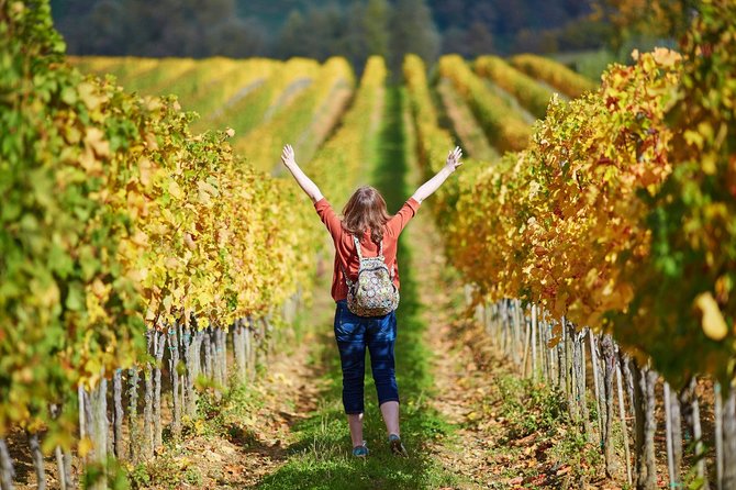 Chianti Lovers Tour- 2 Wineries and Supertuscan Small Group From Lucca - Cancellation Policy