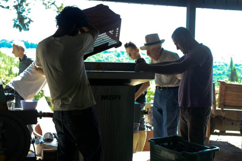 Chianti Organic wine tasting - Good To Know