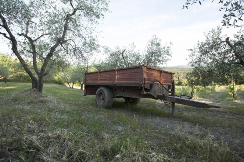 Chianti Organic wine tasting - An In-Depth Look at the Experience