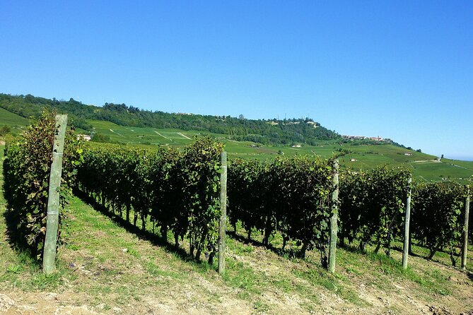 Chianti Private Customizable Transport From Florence - Pricing Information