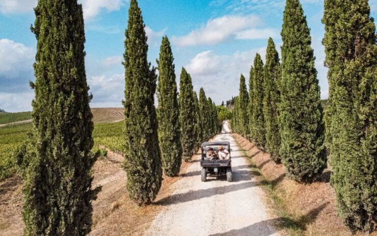 Chianti: Quad Safari With Lunch - Tour Overview