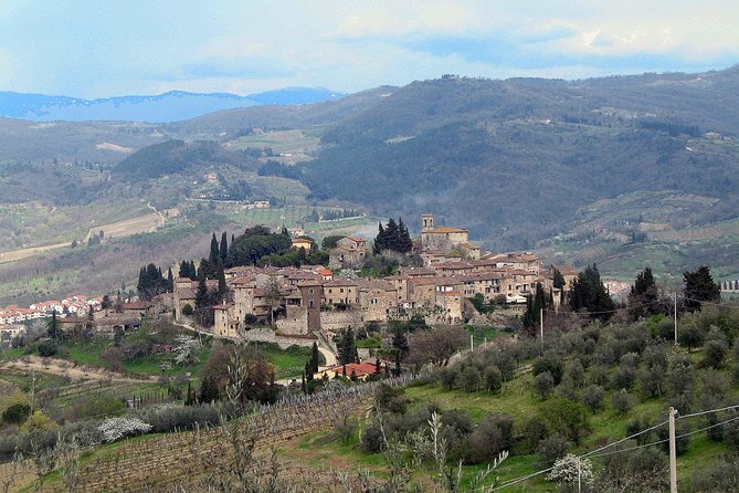 Chianti Region and San Gimignano Including Wine Tasting and Light Lunch - Tour Overview