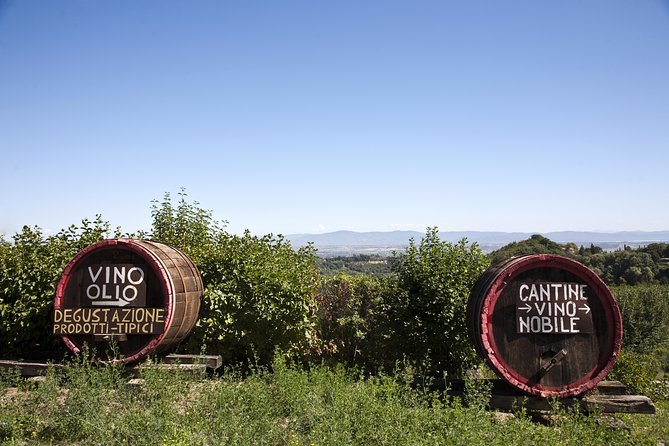 Chianti Region and San Gimignano Including Wine Tasting and Light Lunch - Chianti Region Highlights