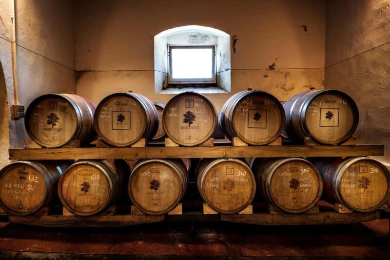 Chianti Rufina: Discover the tradition of extra virgin olive oil and organic wines - A Closer Look at the Itinerary