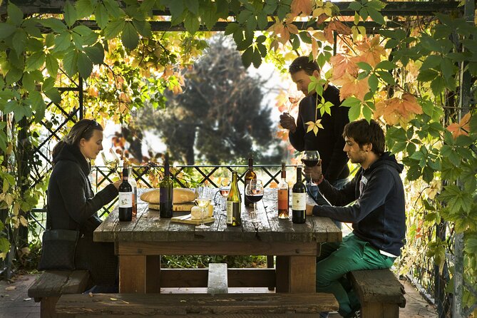 Chianti Rufina Private Half Day Tour With Lunch and Wine Tasting From Florence - Cancellation Policy Details