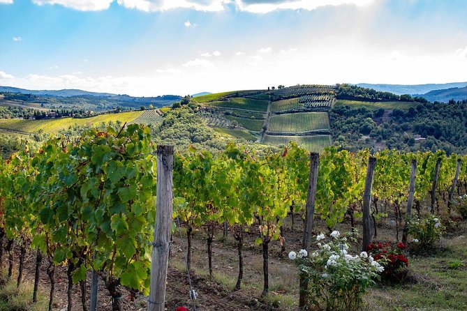 Chianti Safari: Tuscan Villas With Vineyards, Cheese, Wine & Lunch From Florence - Tour Details