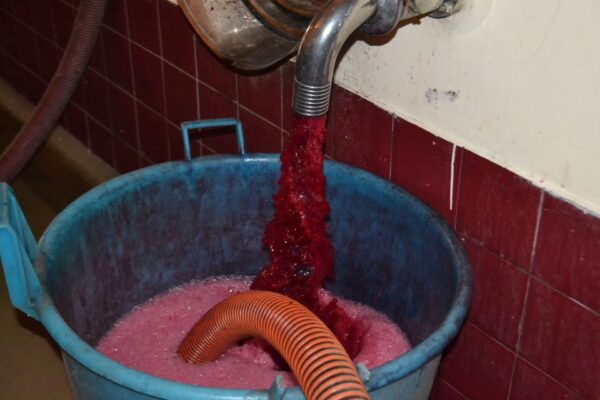 Chianti & San Gimignano Full-Day Tuscan Wine Tour - Tour Highlights