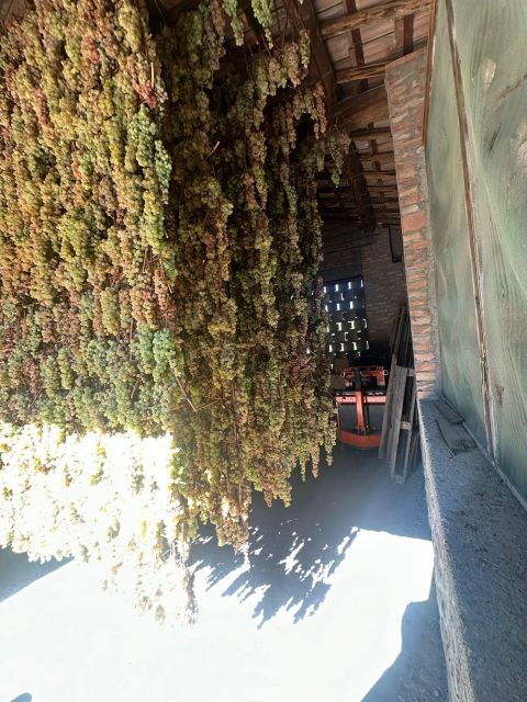 Chianti & San Gimignano Wine Tasting Tour From Florence - Tour Experience