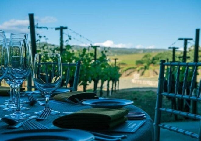 Chianti Semi-Private Wine Tasting and Dinner in Vineyard - Tips for a Great Experience