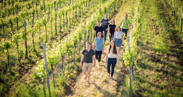 Chianti, Siena, S. Gimignano & Wine Tasting Private Tour - The Sum Up