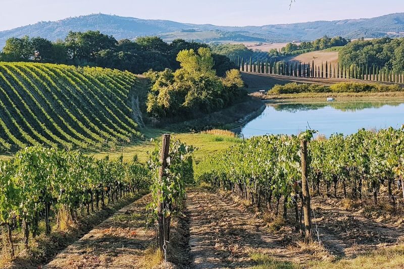 Chianti Sunset Wine Tasting Experience from Florence - Meeting point, timing, and practical details
