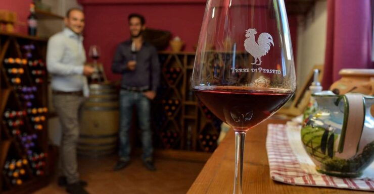 Chianti: Terre Di Perseto Winery Guided Tasting & Tour - Activity Details