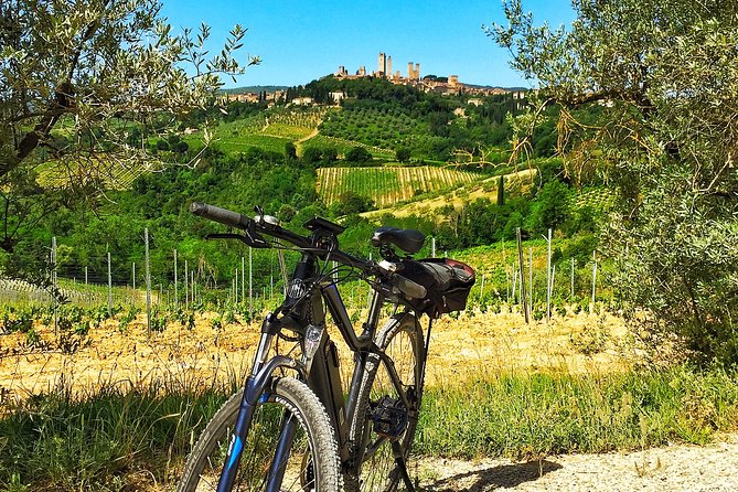 Chianti to San Gimignano Bike Tour - Tour Highlights