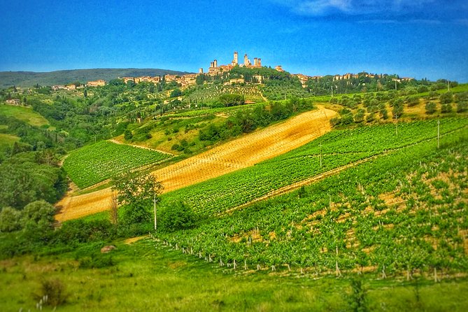 Chianti to San Gimignano Bike Tour - Itinerary Details
