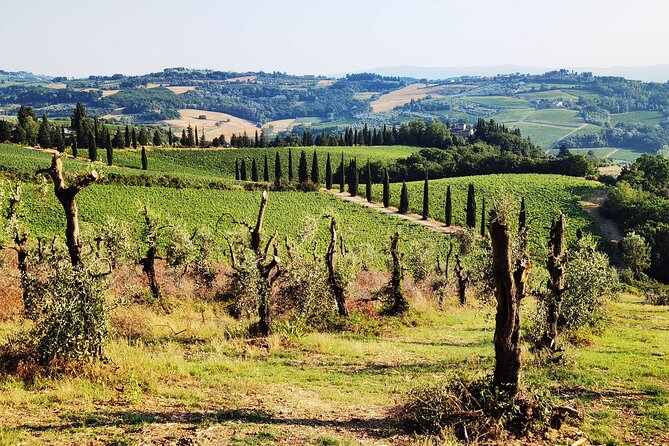 Chianti to San Gimignano E-bike Tour - Scenic Route Through Tuscan Countryside