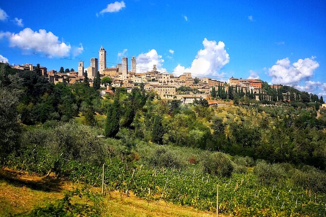 Chianti to San Gimignano E-bike Tour - UNESCO World Heritage Site Exploration