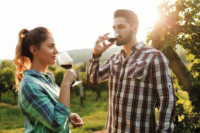 Chianti Tour on Road 222, and Visits to Chianti Wineries - Operating Hours