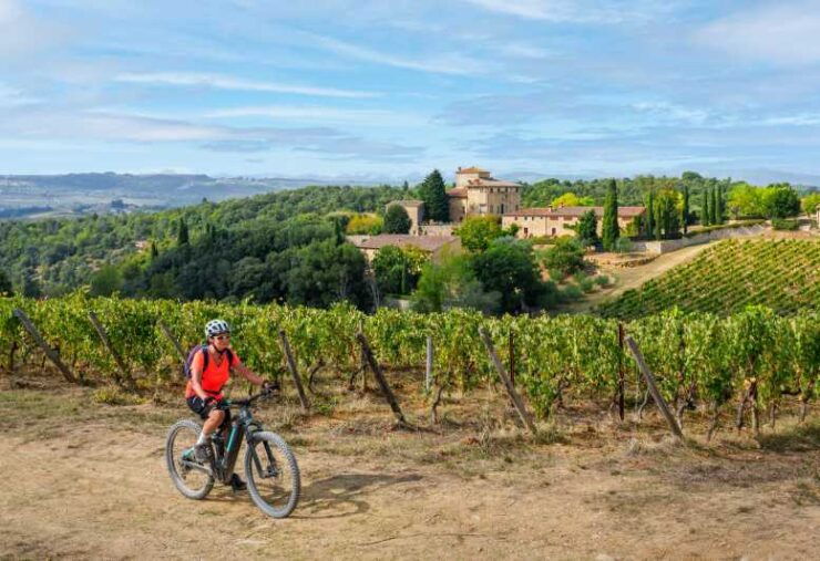 Chianti Tuscany: Ebike & Wine Tour + Pick-Up & Drop-Off by Van - Itinerary and Experience