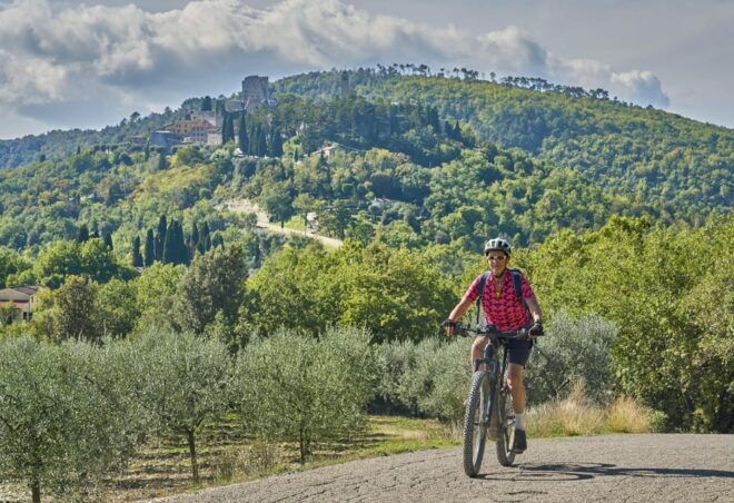 Chianti Tuscany: Ebike & Wine Tour + Pick-Up & Drop-Off by Van - Participant Requirements