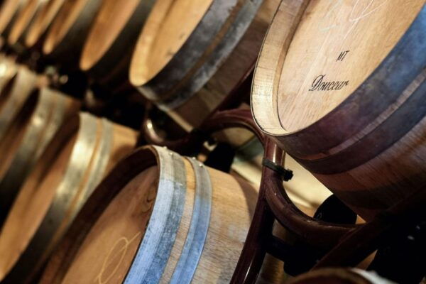 Chianti Tuscany: Ebike & Wine Tour + Pick-Up & Drop-Off by Van - Recommended Items to Bring