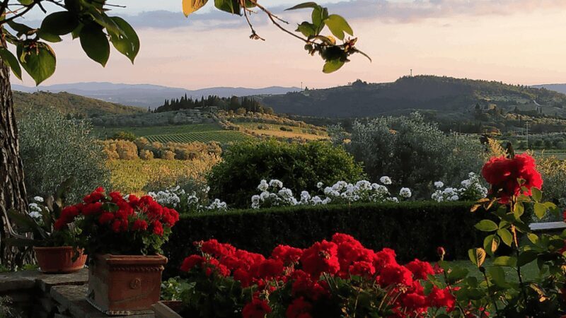 Chianti: Vineyard to Bottle Winery Visit with Tastings - Who Should Consider This Tour?