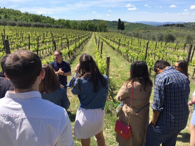 Chianti: Vineyard to Bottle Winery Visit with Tastings - FAQs about the Vineyard to Bottle Tour