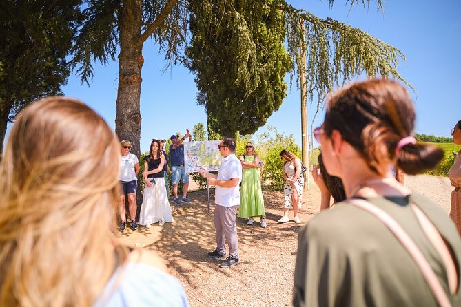 Chianti Vineyards Escape From Florence With Two Wine Tastings - Complaints About Food and Wine