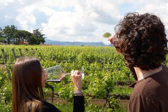 Chianti Vineyards: Small-Group Tour With Wine Tasting & Dinner - Tour Details and Logistics