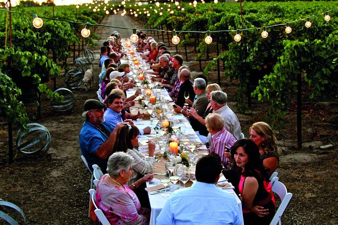 Chianti Vineyards: Small-Group Tour With Wine Tasting & Dinner - Tour Highlights