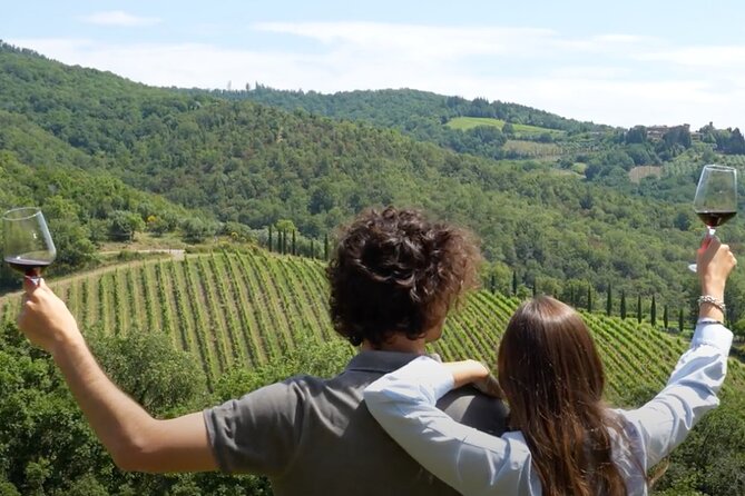Chianti Vineyards: Small-Group Tour With Wine Tasting & Dinner - Mixed Reviews