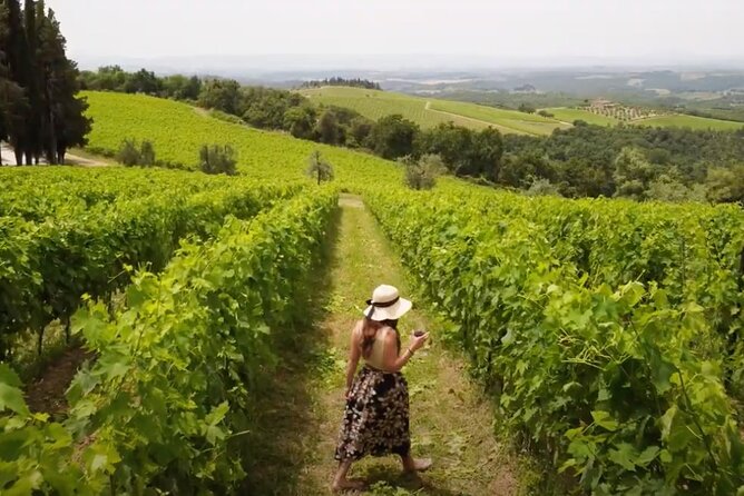 Chianti Vineyards: Small-Group Tour With Wine Tasting & Dinner - Enjoyable Experiences