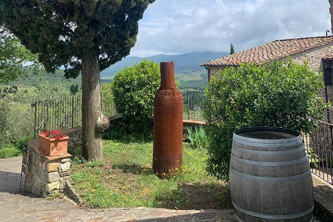 Chianti Vineyards Tours in Private Luxury Van From Florence - Traveler Experience