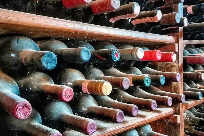 Chianti Vineyards Tours in Private Luxury Van From Florence - Reviews
