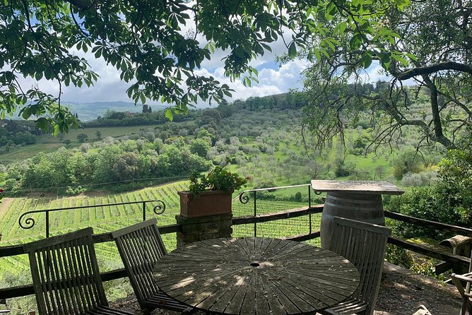 Chianti Vineyards Tours in Private Luxury Van From Florence - Pricing and Booking