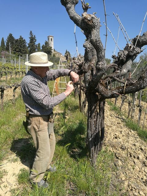 Chianti: Visit the Smallest Winery in Chianti Classico - Wine and Food Experience