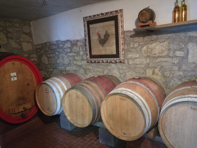 Chianti: Visit the Smallest Winery in Chianti Classico - Tasting Experience