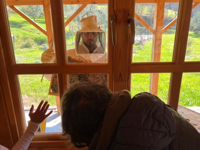 Chianti: Wine and Honey Tasting Half-Day Experience - Additional Information